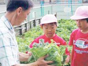 食育ボランティア募集イメージ