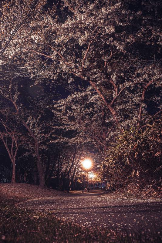 中学生・高校生の部グランプリ