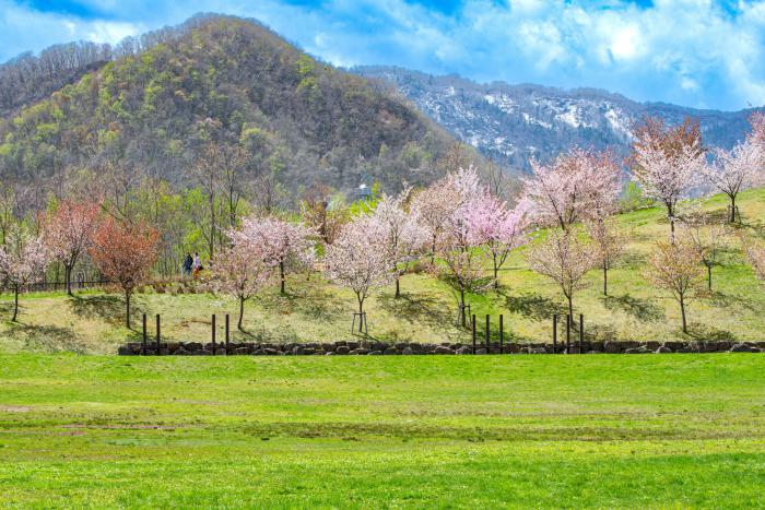 一般の部審査員特別賞(山中審査員)