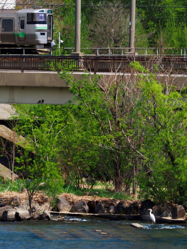 一般の部審査員特別賞(井上審査員)