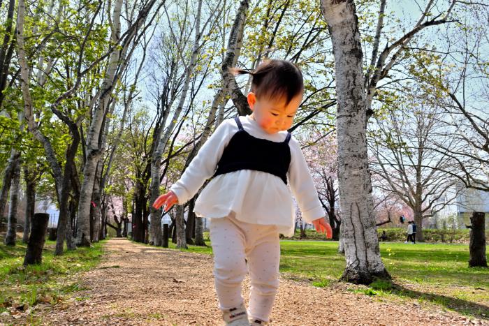 一般の部ゼロ・カーボン推進賞