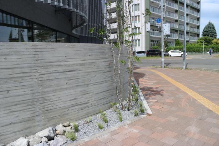 助成制度実績(志村デンタルの写真1)